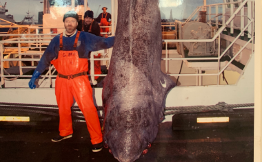 Islandský hákarl: Bjarnason vyrábí kvašenou pochoutku z nejdéle se dožívajícího žraloka