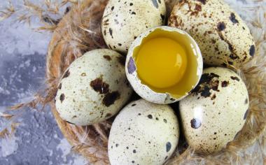 Jak připravit křepelčí vejce: Natvrdo ho stačí vařit jen pár minut, rozbíjet ho musíte jinak než slepičí