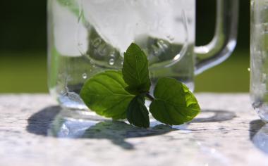 Jak využít bylinky k přípravě letních drinků