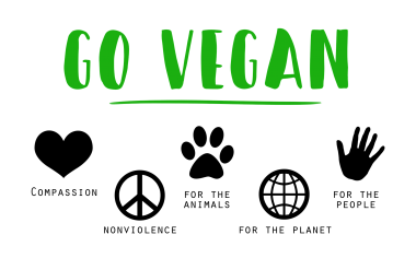 Dnes je světový den veganství!