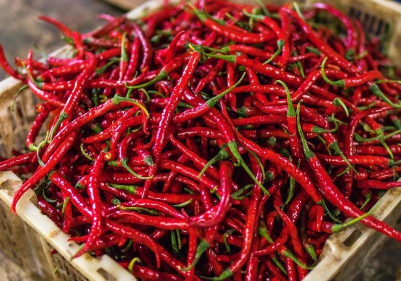 Jak správně pracovat s chilli papričkami? | Apetit Online